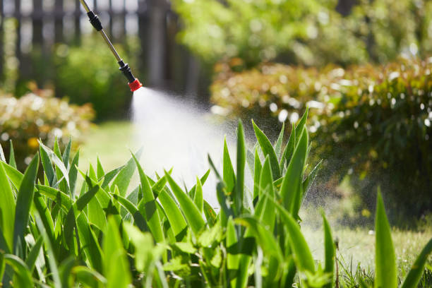 24/7 Emergency Mosquito Control experts in Rome City, IN