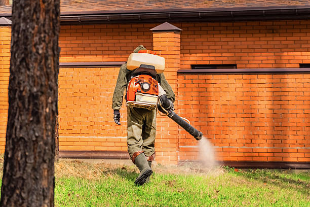 Top rated local Mosquito Control specialists in Rome City, IN